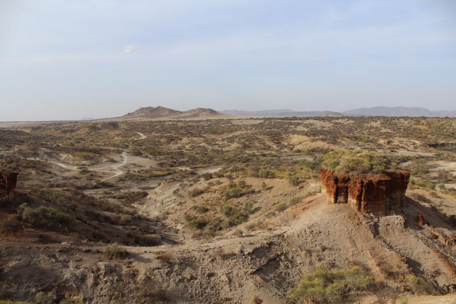 Garganta Olduvai